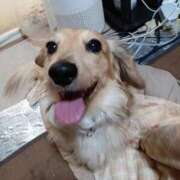 ヒメ日記 2025/10/20 10:34 投稿 ゆきえ 即トク奥さん