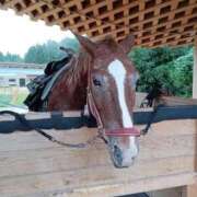 ヒメ日記 2025/10/24 12:50 投稿 ゆきえ 即トク奥さん