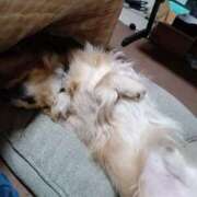 ヒメ日記 2025/10/28 15:50 投稿 ゆきえ 即トク奥さん