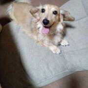 ヒメ日記 2025/11/06 11:54 投稿 ゆきえ 即トク奥さん