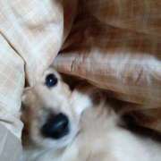 ヒメ日記 2025/11/15 13:59 投稿 ゆきえ 即トク奥さん