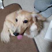 ヒメ日記 2025/11/22 21:20 投稿 ゆきえ 即トク奥さん