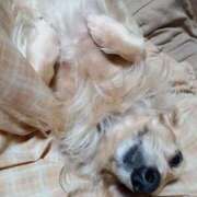 ヒメ日記 2026/01/06 08:00 投稿 ゆきえ 即トク奥さん