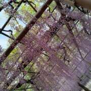 ヒメ日記 2026/04/26 19:50 投稿 ゆきえ 即トク奥さん