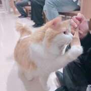 ヒメ日記 2026/01/17 21:13 投稿 りつ 秋葉原コスプレ学園in仙台