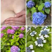 ヒメ日記 2025/06/14 16:22 投稿 イズミ Club 妻