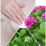 ヒメ日記 2025/06/18 12:50 投稿 イズミ Club 妻