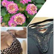 ヒメ日記 2025/06/21 09:28 投稿 イズミ Club 妻