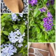 ヒメ日記 2025/06/24 09:30 投稿 イズミ Club 妻