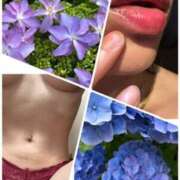 ヒメ日記 2025/06/27 09:35 投稿 イズミ Club 妻