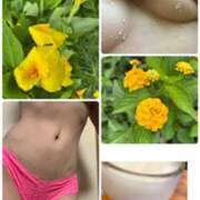 ヒメ日記 2025/06/28 09:36 投稿 イズミ Club 妻