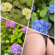 ヒメ日記 2025/06/30 05:10 投稿 イズミ Club 妻