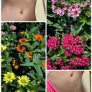 ヒメ日記 2025/07/01 09:40 投稿 イズミ Club 妻