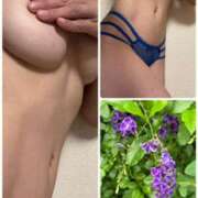 ヒメ日記 2025/07/02 07:43 投稿 イズミ Club 妻