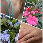 ヒメ日記 2025/07/04 10:19 投稿 イズミ Club 妻