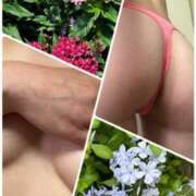 ヒメ日記 2025/07/05 09:31 投稿 イズミ Club 妻