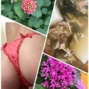 ヒメ日記 2025/07/08 11:33 投稿 イズミ Club 妻