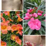 ヒメ日記 2025/07/11 11:36 投稿 イズミ Club 妻