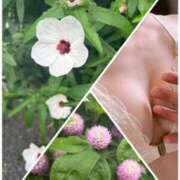 ヒメ日記 2025/07/14 16:58 投稿 イズミ Club 妻