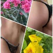 ヒメ日記 2025/07/15 10:29 投稿 イズミ Club 妻