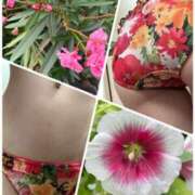 ヒメ日記 2025/07/16 10:22 投稿 イズミ Club 妻