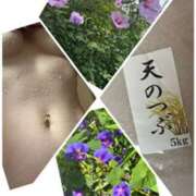 ヒメ日記 2025/07/24 06:50 投稿 イズミ Club 妻