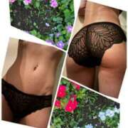 ヒメ日記 2025/08/11 07:22 投稿 イズミ Club 妻