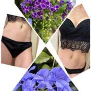 ヒメ日記 2025/08/15 09:23 投稿 イズミ Club 妻