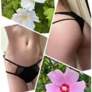 ヒメ日記 2025/08/16 09:19 投稿 イズミ Club 妻