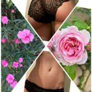 ヒメ日記 2025/08/20 20:10 投稿 イズミ Club 妻