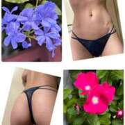 ヒメ日記 2025/08/23 09:25 投稿 イズミ Club 妻