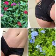 ヒメ日記 2025/08/27 10:49 投稿 イズミ Club 妻