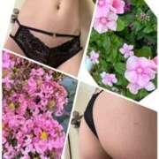 ヒメ日記 2025/09/03 11:29 投稿 イズミ Club 妻