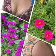 ヒメ日記 2025/09/15 11:23 投稿 イズミ Club 妻