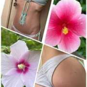 ヒメ日記 2025/09/16 14:24 投稿 イズミ Club 妻