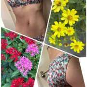 ヒメ日記 2025/09/26 11:23 投稿 イズミ Club 妻