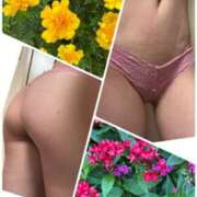 ヒメ日記 2025/10/16 11:24 投稿 イズミ Club 妻