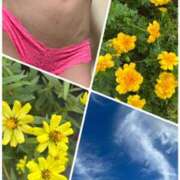 ヒメ日記 2025/10/18 11:24 投稿 イズミ Club 妻