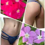 ヒメ日記 2025/10/19 11:22 投稿 イズミ Club 妻