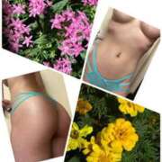 ヒメ日記 2025/11/04 11:25 投稿 イズミ Club 妻