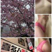 イズミ 本日出勤＆来週のシフト Club 妻