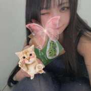 ヒメ日記 2025/09/10 16:56 投稿 あん 隙のあるエステ