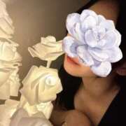 ヒメ日記 2025/06/21 15:25 投稿 なぎ luxury spa 風雅