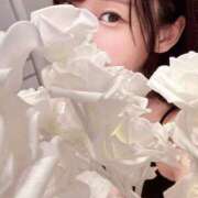 ヒメ日記 2025/09/27 11:45 投稿 なぎ luxury spa 風雅