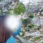 ヒメ日記 2026/04/15 19:01 投稿 なぎ luxury spa 風雅