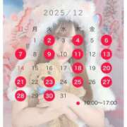 ヒメ日記 2025/11/28 20:27 投稿 めい Lounge Yoki東京