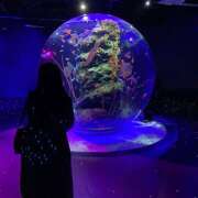 ヒメ日記 2025/09/27 23:37 投稿 高野　しょうな 出張メンズエステ ロマンスSPA 奈良