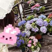 ヒメ日記 2025/10/11 07:07 投稿 高野　しょうな 出張メンズエステ ロマンスSPA 奈良