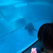 高野　しょうな K様のありがとう💌🧸 出張メンズエステ ロマンスSPA 奈良