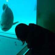 ヒメ日記 2026/02/23 21:44 投稿 高野　しょうな 出張メンズエステ ロマンスSPA 奈良